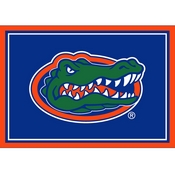 University of Florida 3x4 Area Rug (4000293211), 5010UFL1